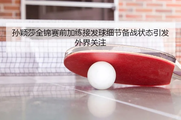 孙颖莎全锦赛前加练接发球细节备战状态引发外界关注