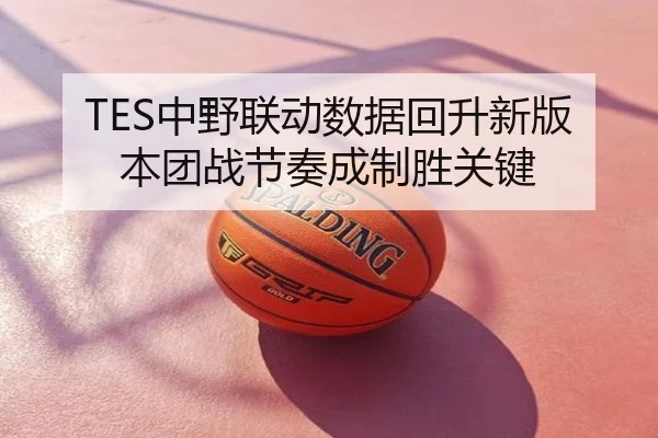 TES中野联动数据回升新版本团战节奏成制胜关键